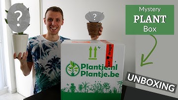 Mystery Plant Box Unboxing (Groene Kneusjes Box)
