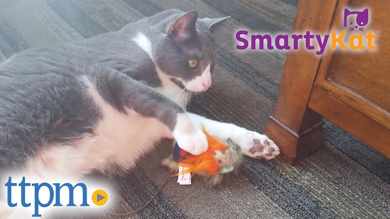 pet toys online SmartyKat Lumber Mouse from Worldwise
