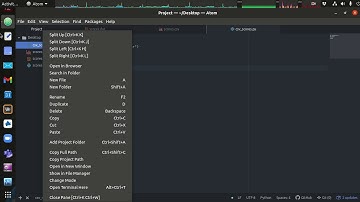 Data Stores Part 2 - Heterogeneous Collections and Parsing a CSV File