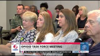 Opioid Task Force developing plan to fight crisis