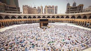 سورة التكاثر   الشيخ نبيل الرفاعي