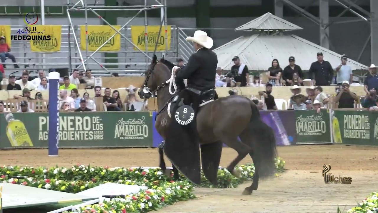 LUNATICO DE LAS ESTRELLAS, GRAN CAMPEÓN RESERVADO TROTE Y GALOPE EXPO NACIONAL BUCARAMANGA 2026