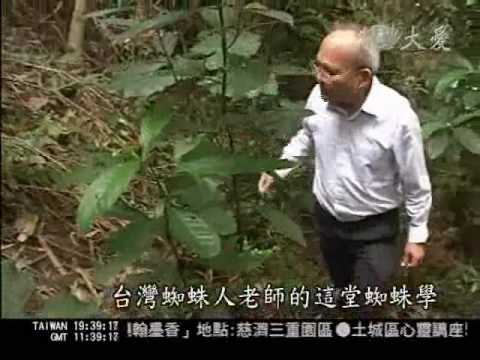 大愛新聞_蜘蛛真面目_對蜘蛛情有獨鍾.wmv