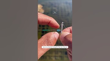 Lò xo chia đôi thẻo chống rối cực kỳ tiện lợi #cauca #fishing #shorts