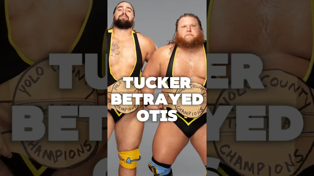 How Heavy Machinery split up 