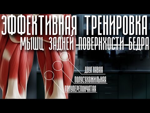 The Science Of Power