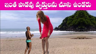 REAL LIFE GIANTS You Wont Believe Actually EXIST | Telugu Facts