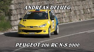 SALITA DEL COSTO 2024 | ANDREAS DELUEG | PEUGEOT 206 RC N-S 2.0 | VIDEOCLIP BY BELLUNOVIDEO