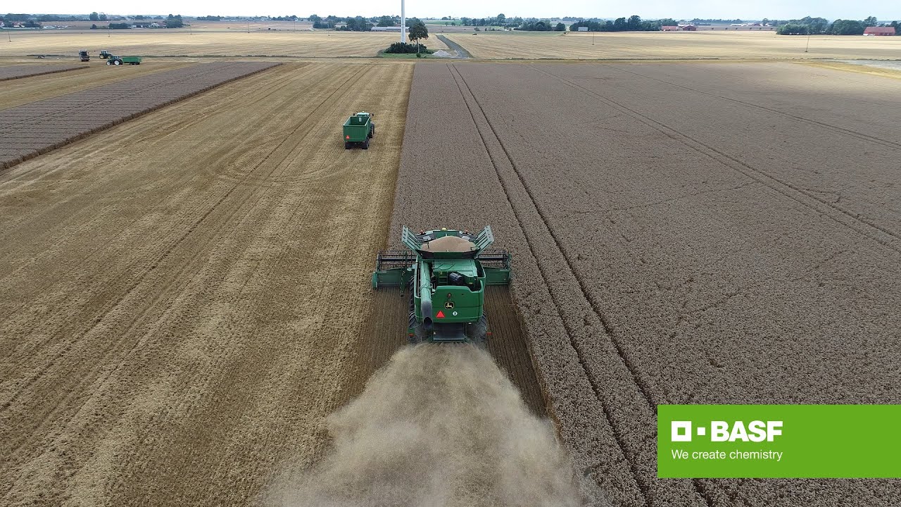 “Så här vill vi ha grödan vid skörd även detta år" - Medax Max