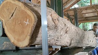 Sawing Buvina wood to make building construction blocks