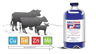 Multimin 90 Mejora la Inmunidad en los Bovinos
