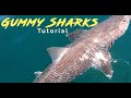 How to catch Gummy Sharks - Step By Step Guide To Catching Gummies