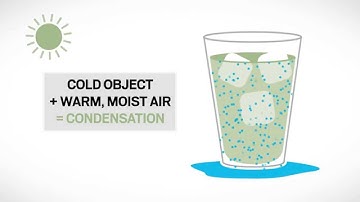 Understanding Condensation on Windows -- Renewal by Andersen