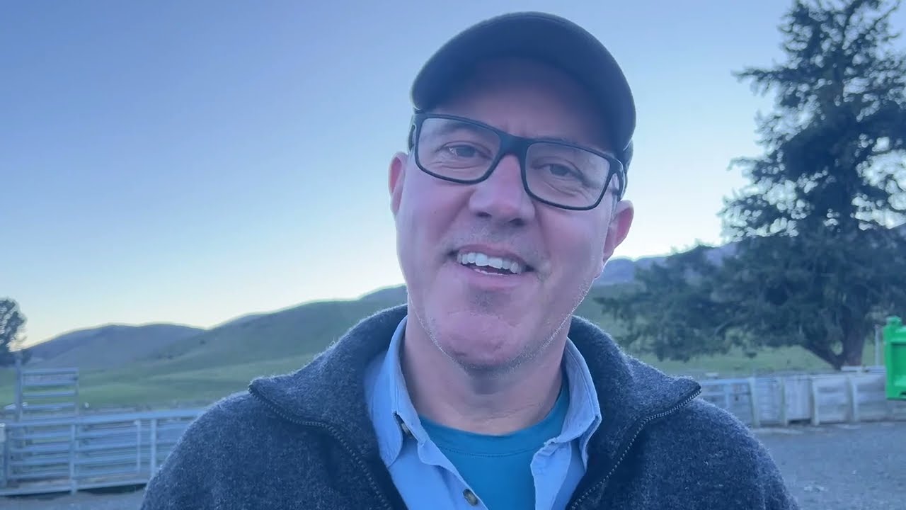 Beautiful sheep farms in NZ