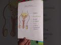 #diagrams of human body 🔥🎉🩶 #nursing #biology #youtubeshorts  #complete