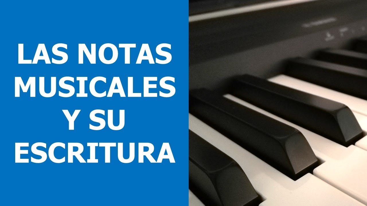 Notas Musicales: La Unidad más Básica de la Música | Teoría Musical Ep ...