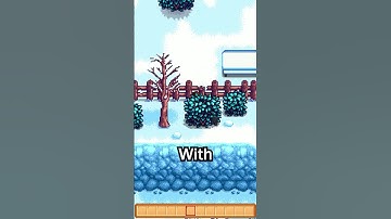 Where Does Krobus Go In Stardew Valley?