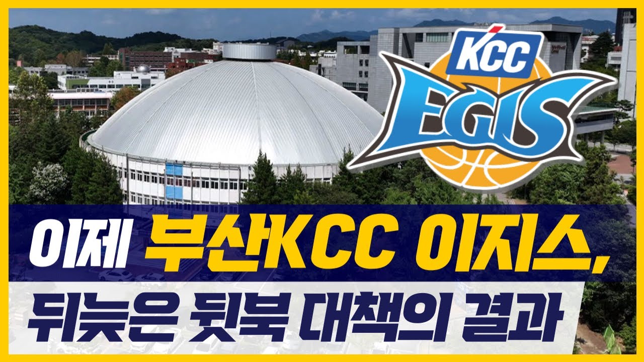 이제 부산 KCC...뒤늦은 뒷북 대책의 결과