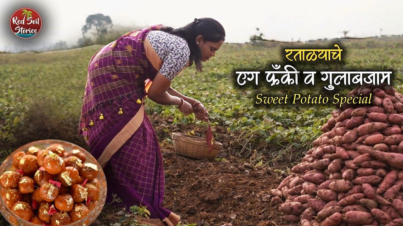 Sweet Potato Egg Frankie | रताळ्याचे गुलाबजाम |रताळी विशेष| Village Cooking | Red Soil Stories