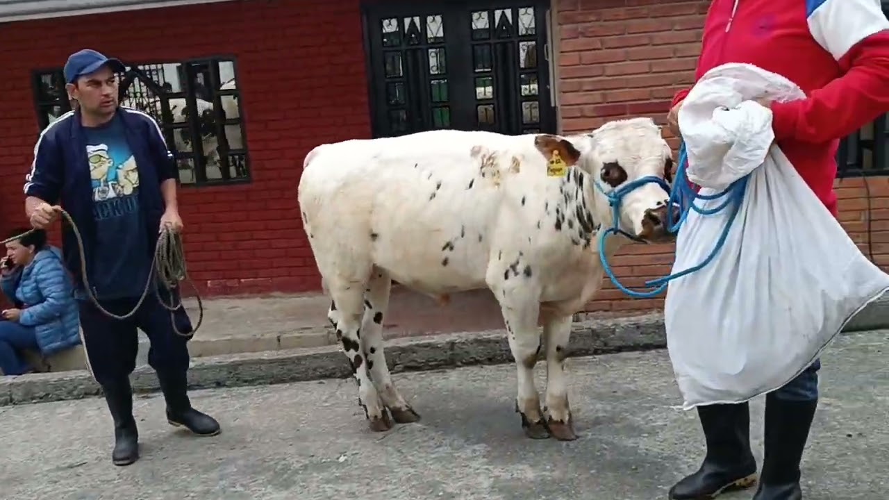 Gutiérrez Cundinamarca, cordial invitación a conocer Gutiérrez.