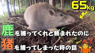 146 【有害鳥獣駆除】鹿を捕りたいから猪は罠に掛かるなよ！絶対掛かる