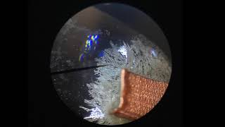 Copper Metal And Silver Nitrate