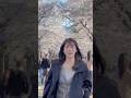 Spring in Seoul🌸 #한국여행 #vlog