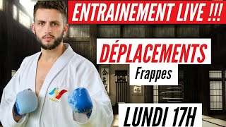 ENTRAINEMENT KARATE LIVE !!!! DEPLACEMENTS - FRAPPES !!!