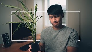 10 Things I Don't Buy As a Minimalist