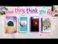 How Do They Think You Feel About Them Right Now? Pick a Card Love Tarot Reading✨