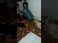 video lucu , lagi bangunin sahur