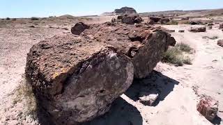 PETRIFIED FOREST NATIONAL PARK