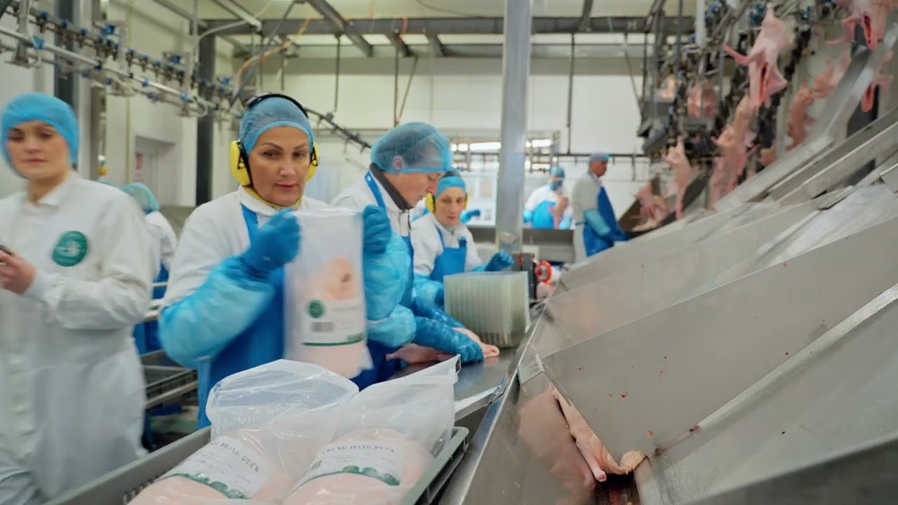 Silver Hill Duck Promotion Video - 30s