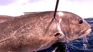 Spearfishing alone in Kadatua island