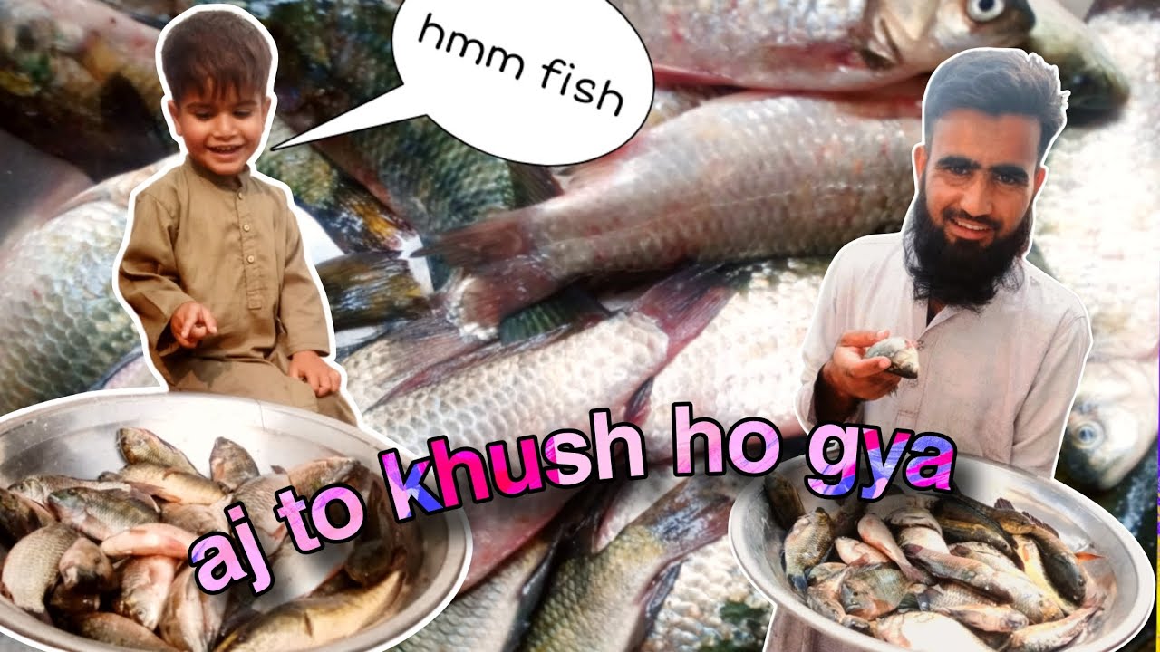 catching many fish bass fishing Amazing Fishing Video | Fishing China Fish Catching |