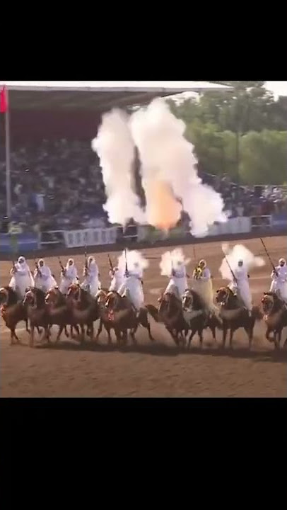 #mypictalk #sea #viral #tiktok #fypシ #typ #short