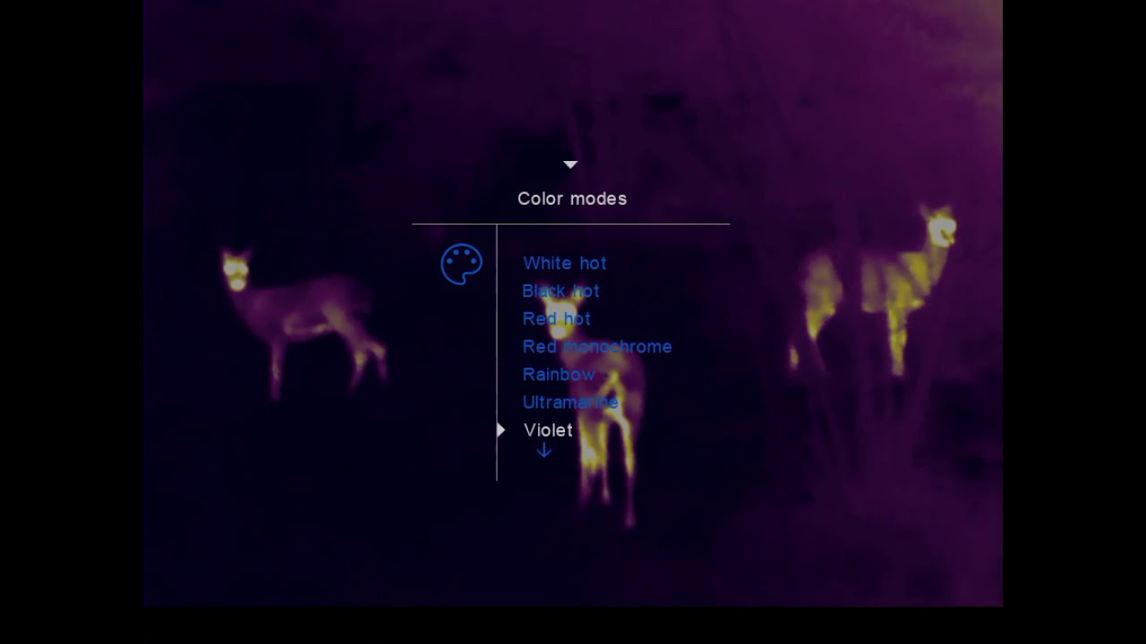Pulsar Proton FXQ30 - Action as Roe Deer Escapes