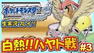 ポケモンhgss ポケットモンスター ハートゴールド ソウルシルバー実況 生放送録画 Mottv Mottyのゲーム実況ちゃんねる Thewikihow