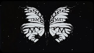 5 Seconds of Summer - Take My Hand (Official Visualizer)