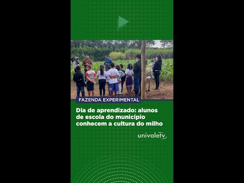 Estudantes de GV conhecem a cultura do milho na Univale