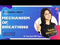 Breathing and Exchange of Gases L-3 | Mechanism of Breathing | NEET Biology Lectures | Vedantu