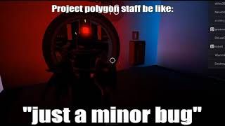 Project polygon staff be like