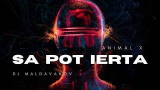 DJ Maldavanov - Sa pot ierta (Cover Remix) 2026 🔥