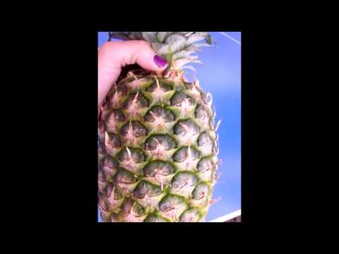 Video: Hoe Herken Je Een Rijpe Ananas?