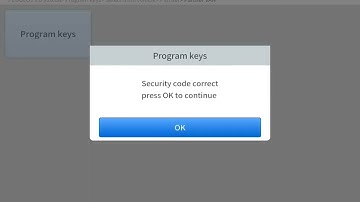 add key for Peugeot partner modele 2007 saccesful by xtool pad3SE