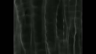 Fluorescence Imaging - Formation of Streaks