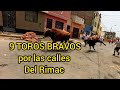 Ll festival taurino acho 2024 pamplonada rimense y corrida de toros  part 1  12 lima per