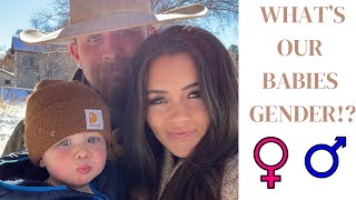 What Is Baby #2’s Gender!?