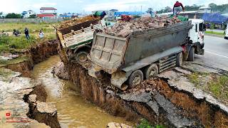 Declare Amazing  Good Duty Filling Over Total Area Role Dozer Komatsu U0026 Dumper 25t 05t  Trucks