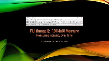 FIJI (ImageJ): ROI Multi Measure - Measuring Intensity over Time